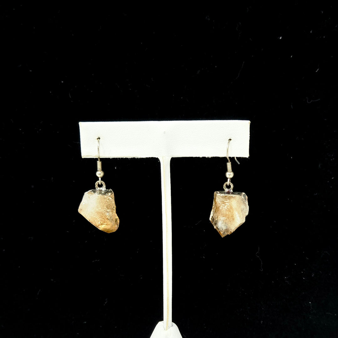 Citrine Point Earrings in Silver