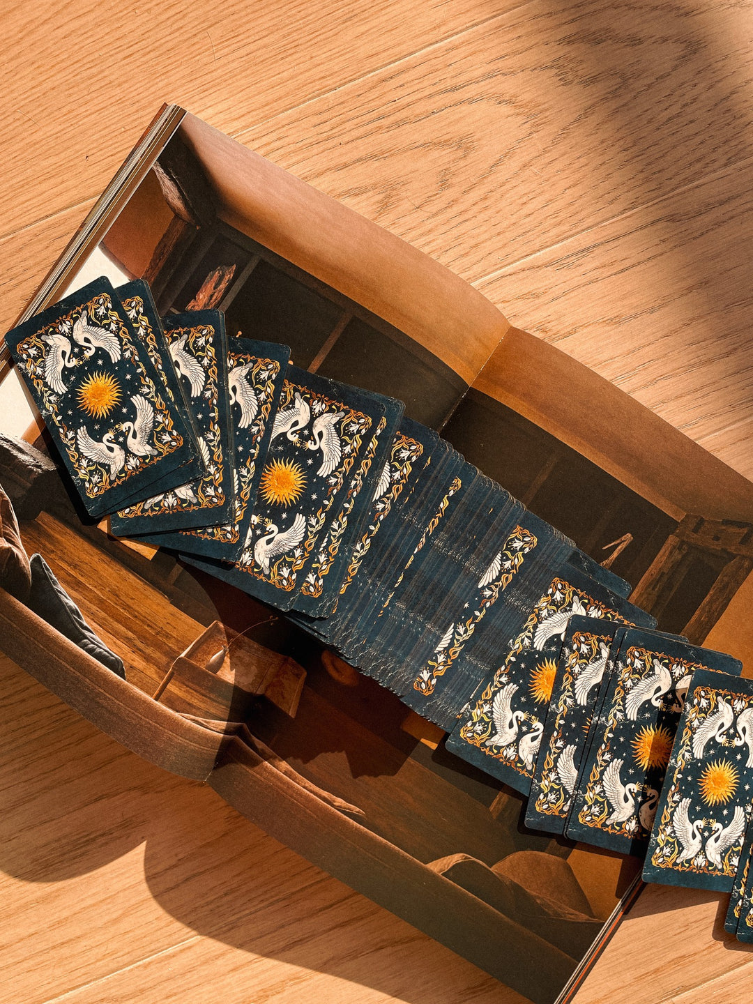 Readings – Tarot, Aura Cleanse, Astrology, and Vedic (Jyotish)