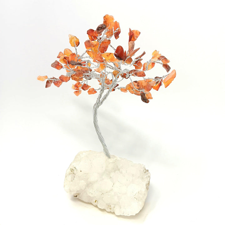 Zeolite Apophyllite Tree of Life: Carnelian - The Harmony Store