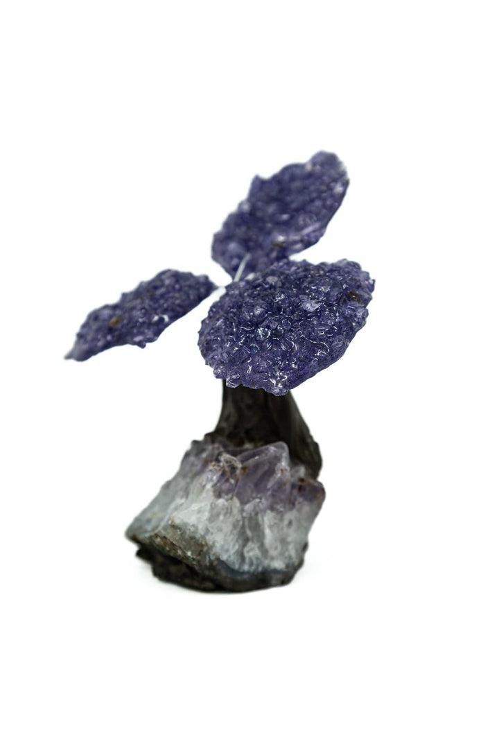 Amethyst Tree Amethyst