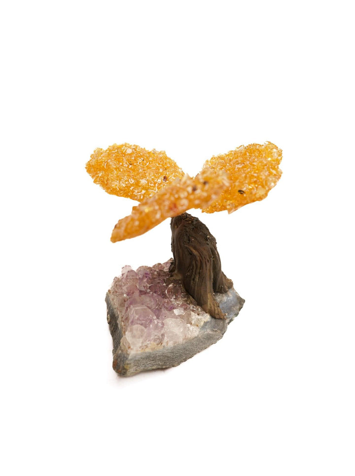 Citrine Flower Tree on Amethyst Base