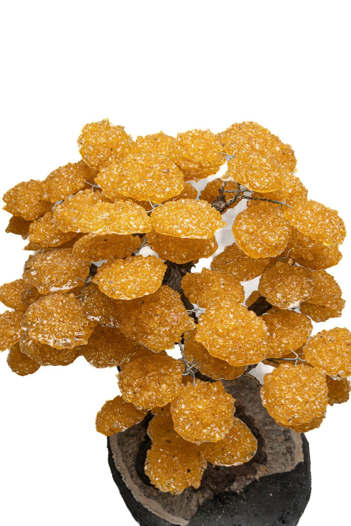 Citrine Tree Flower Tree on Amethyst Base