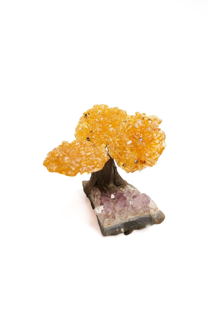 Citrine Flower Tree on Amethyst Base