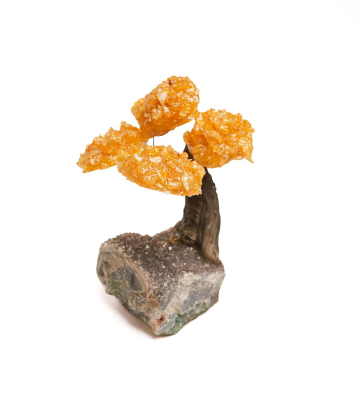 Citrine Flower Tree on Amethyst Base