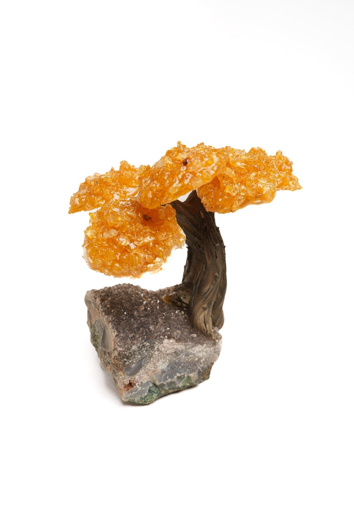 Citrine Flower Tree on Amethyst Base