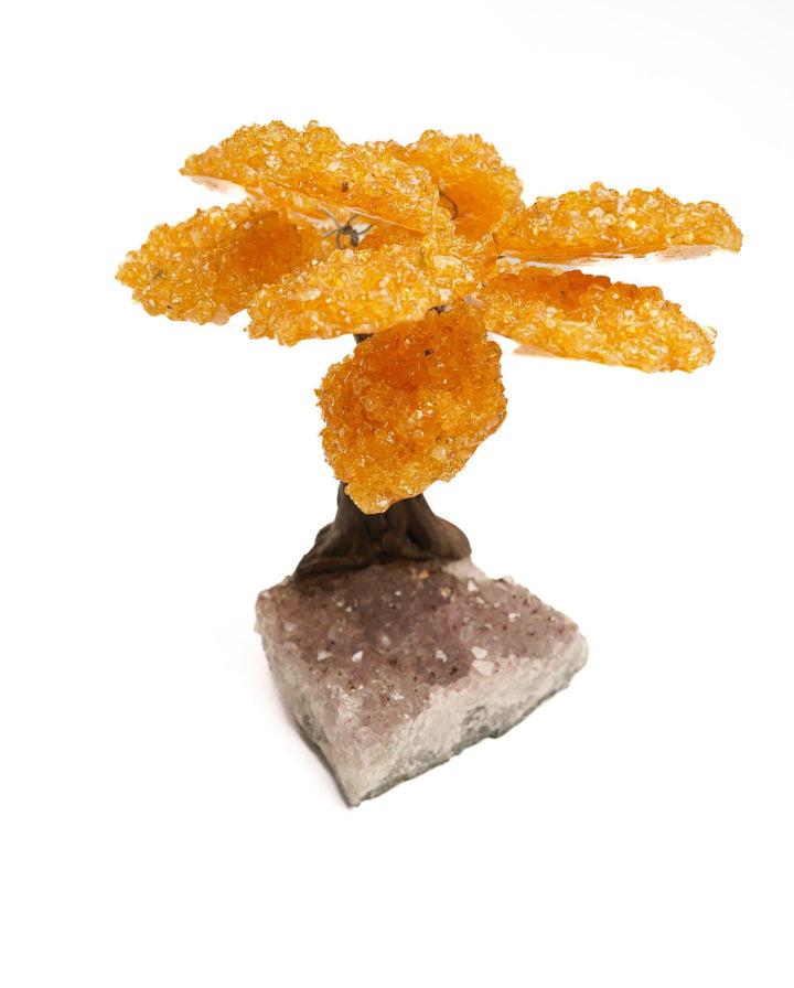 Citrine Flower Tree on Amethyst Base