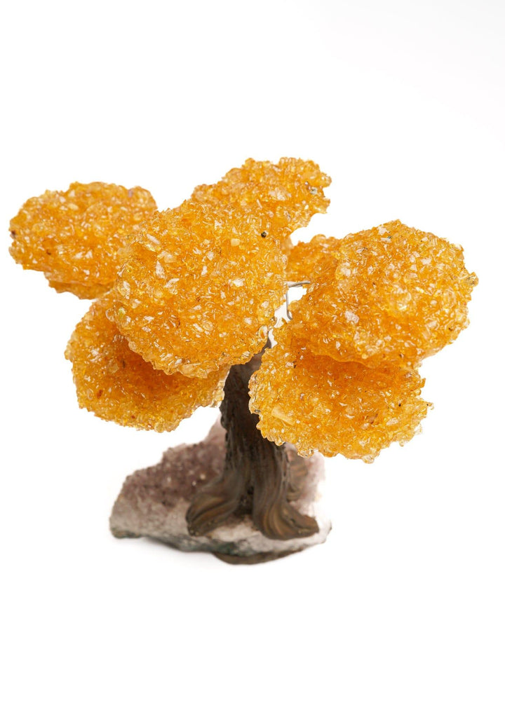 Citrine Flower Tree on Amethyst Base