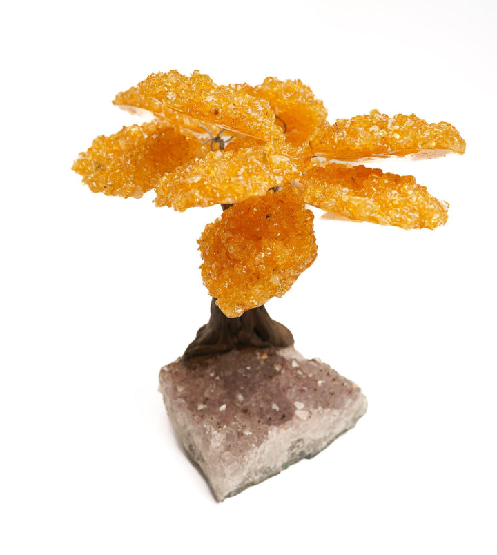 Citrine Flower Tree on Amethyst Base