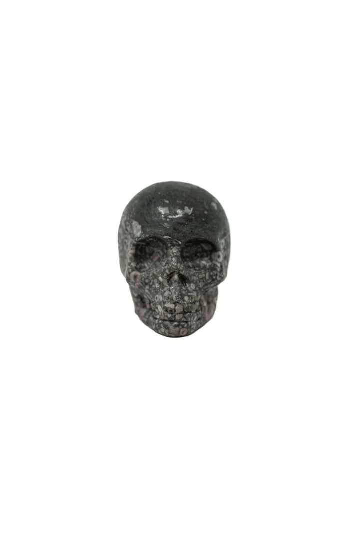 Picture Jasper Skull Hand Carved