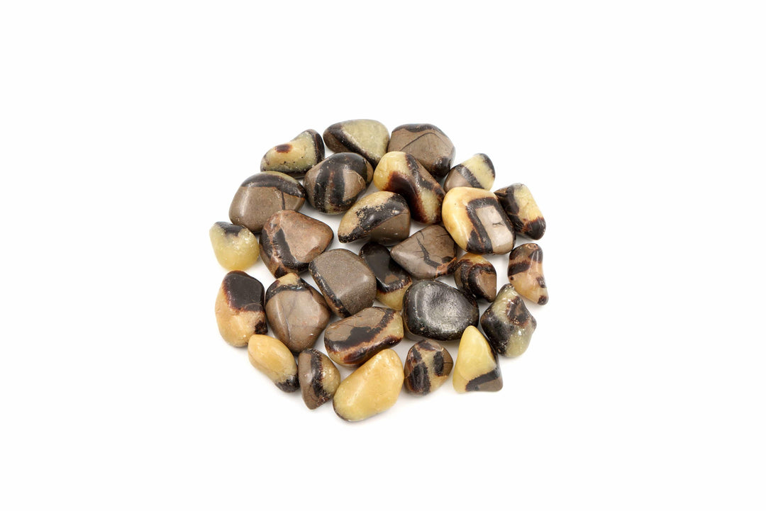 Septarian Tumbled Stone Crystal Tumbled