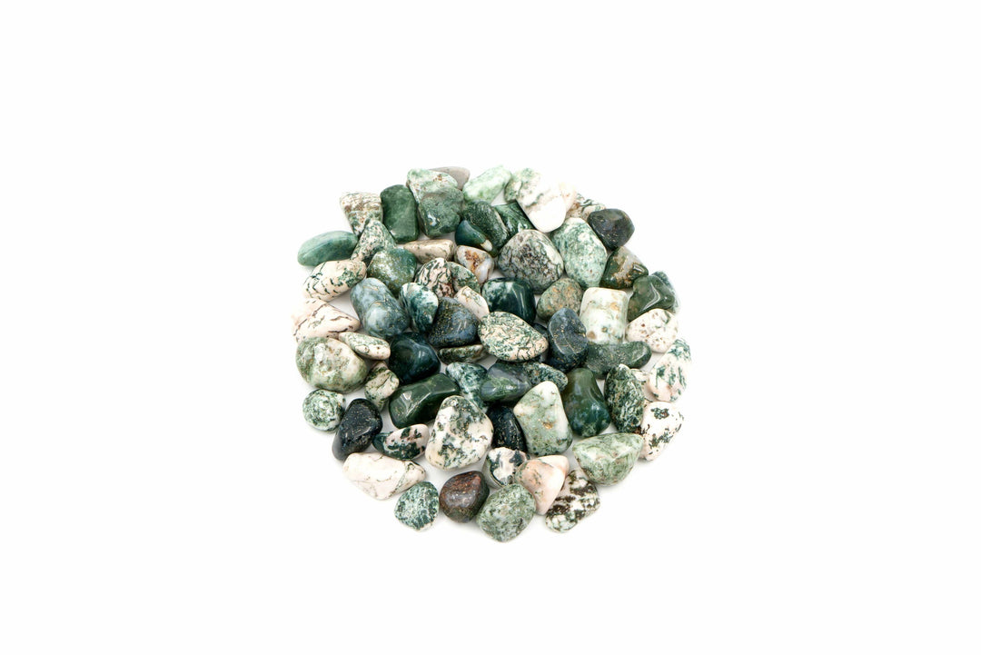 Tree Agate Tumbled Stone Crystal Tumbled