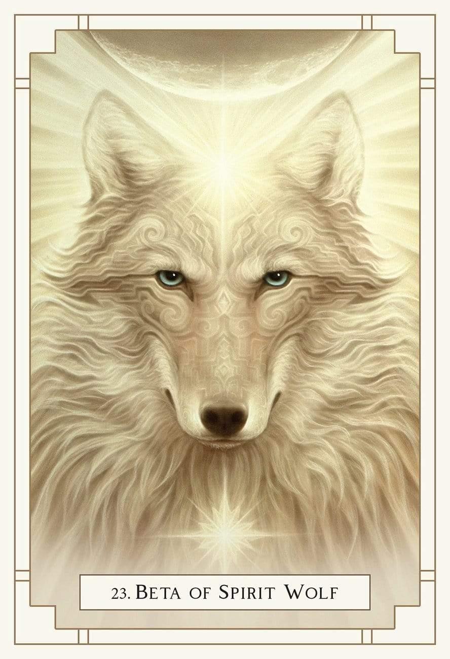 White Light Oracle Oracle Cards