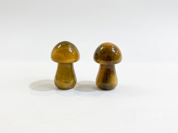 Tiger Eye Mushroom