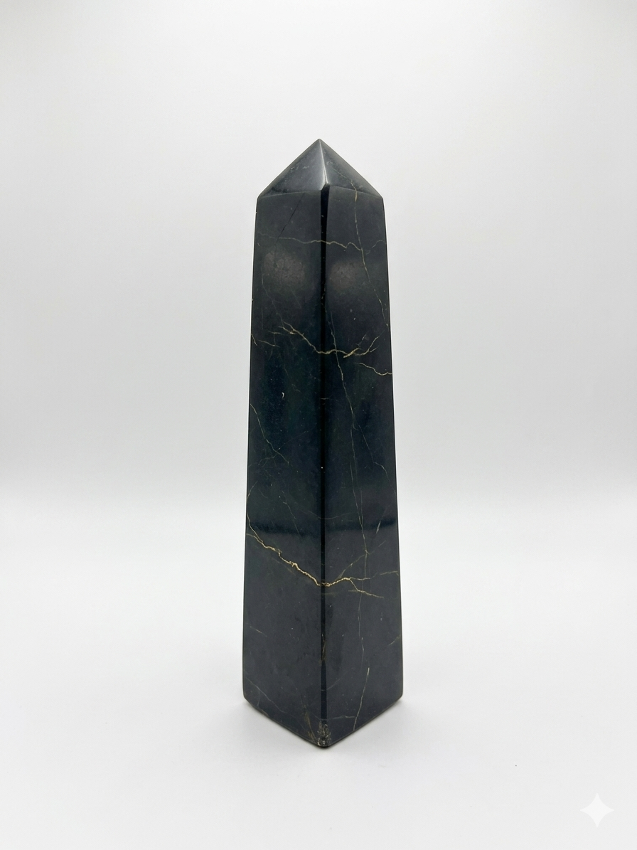 Black Tourmaline Shamatite Tower