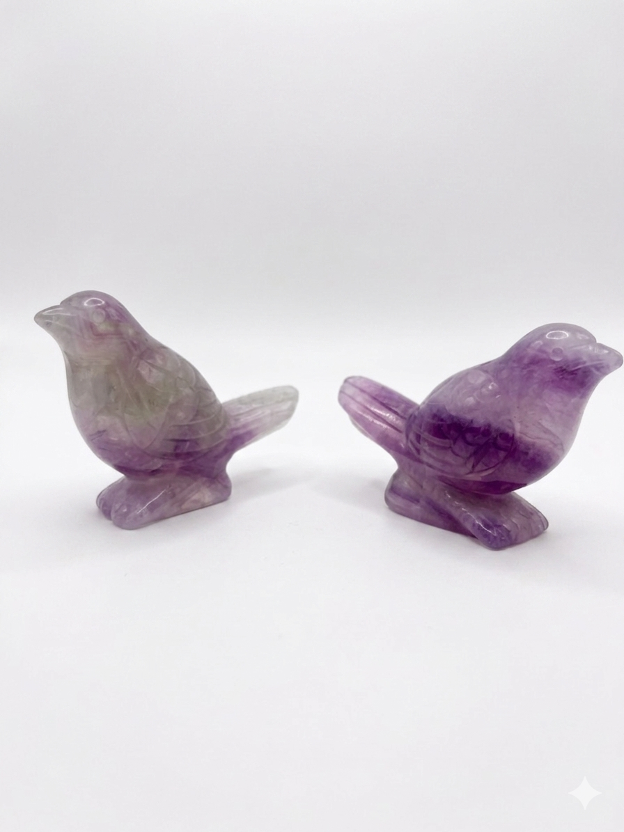 Rainbow Fluorite Canary Bird