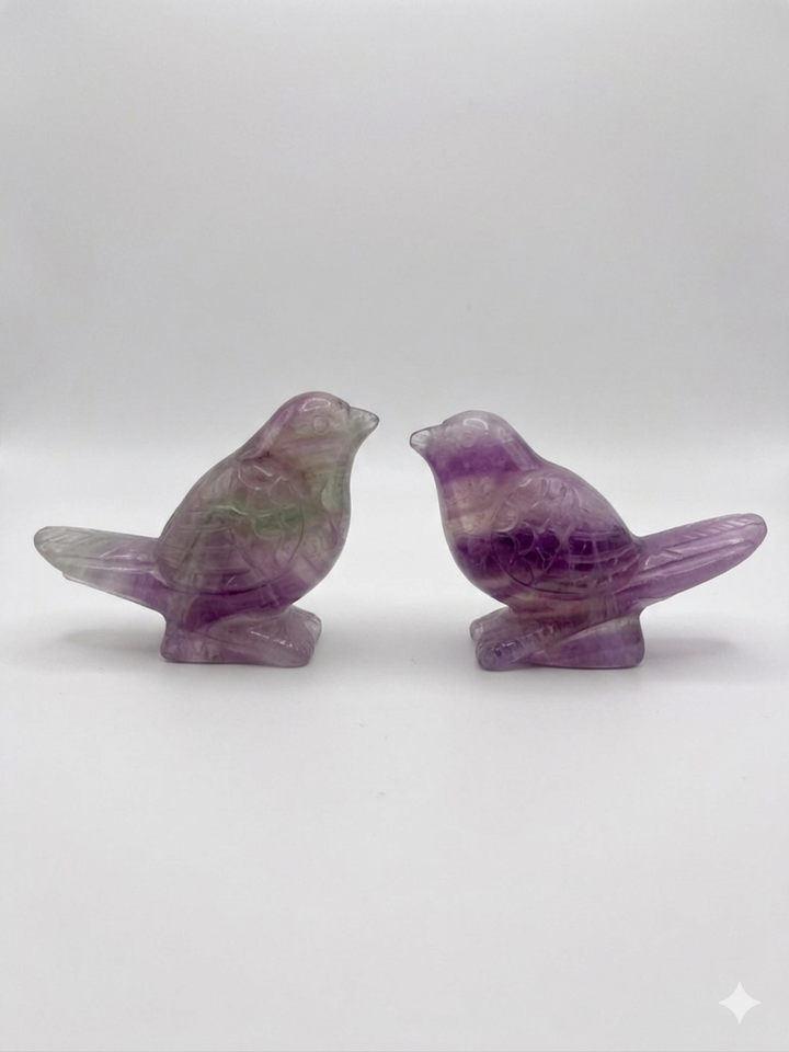 Rainbow Fluorite Canary Bird