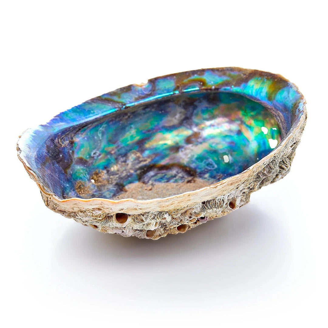 Abalone Shell | Smudging Bowl &amp; Holder | The Harmony Store Aromatherapy