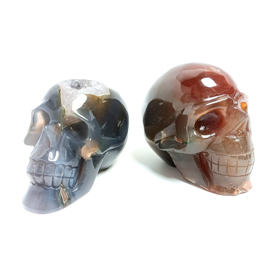 Agate Druzy Crystal Skull | The Harmony Store Skull