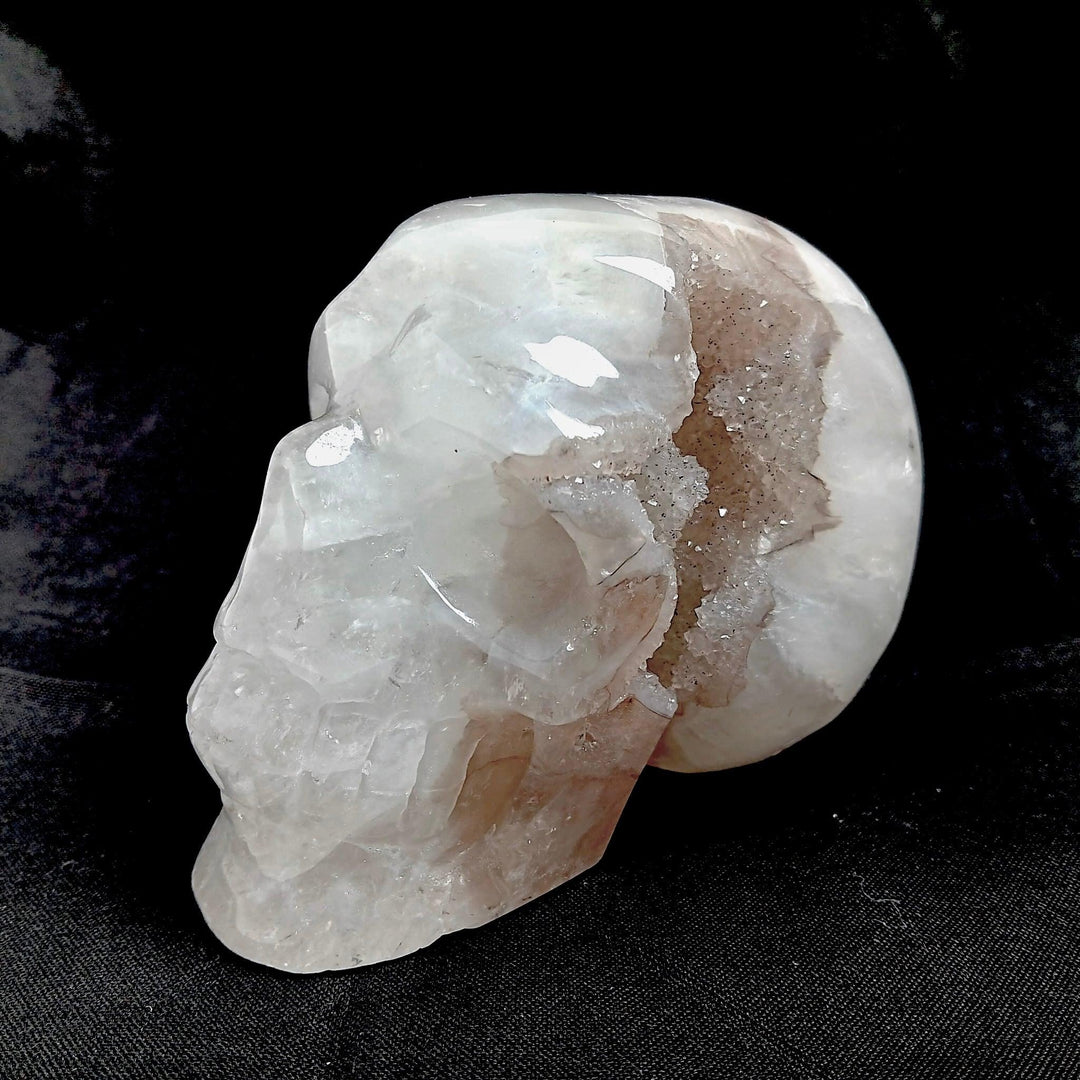Agate Druzy Crystal Skull | The Harmony Store Skull