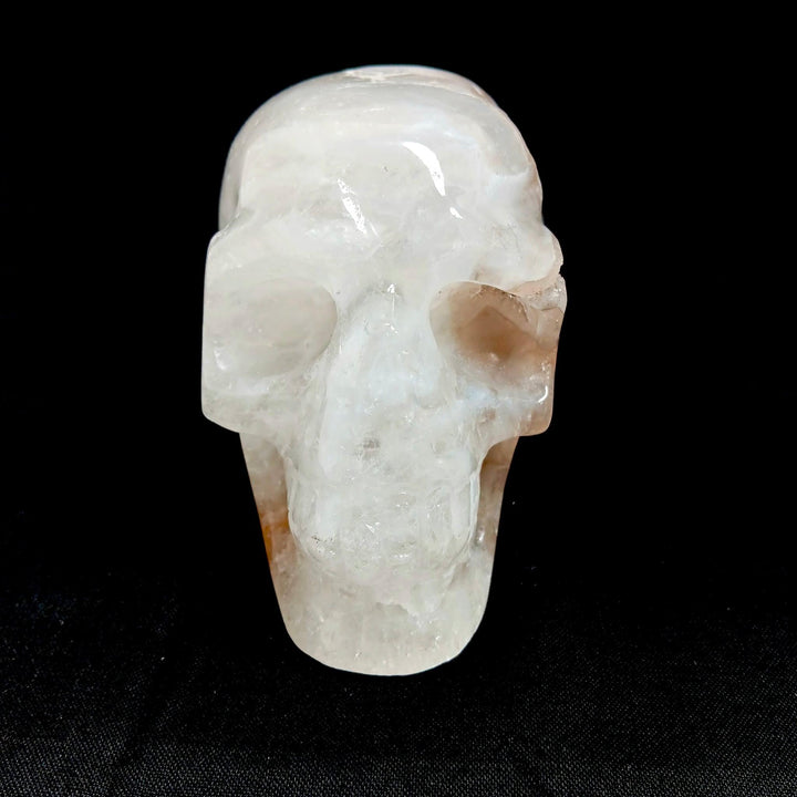 Agate Druzy Crystal Skull | The Harmony Store Skull
