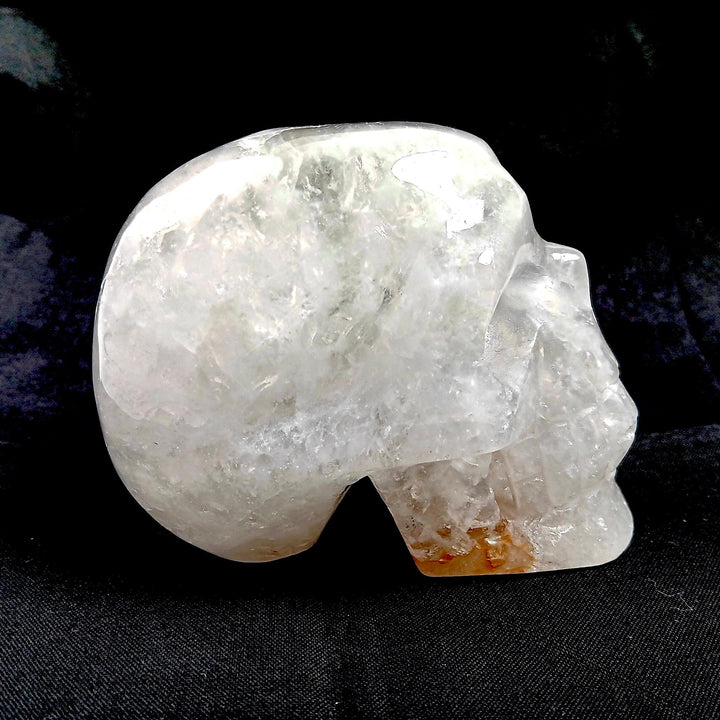 Agate Druzy Crystal Skull | The Harmony Store Skull