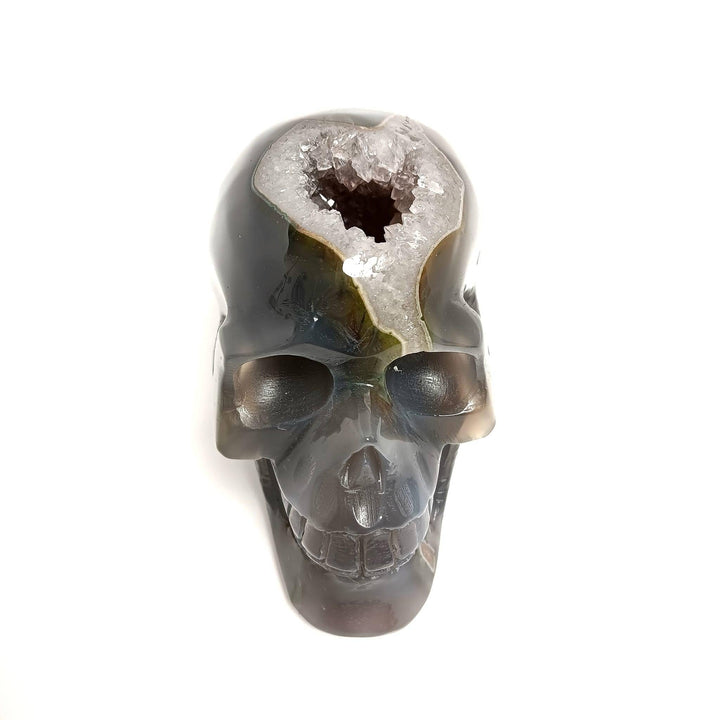Agate Druzy Crystal Skull | The Harmony Store Skull