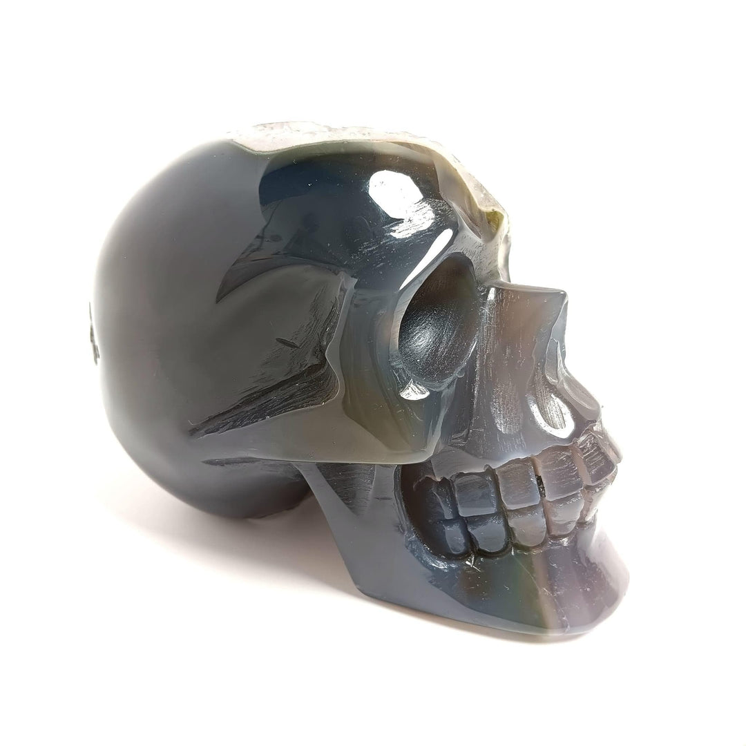 Agate Druzy Crystal Skull | The Harmony Store Skull