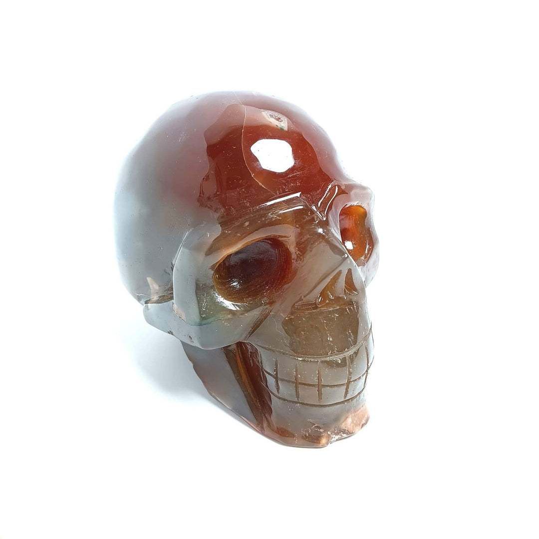 Agate Druzy Crystal Skull | The Harmony Store Skull