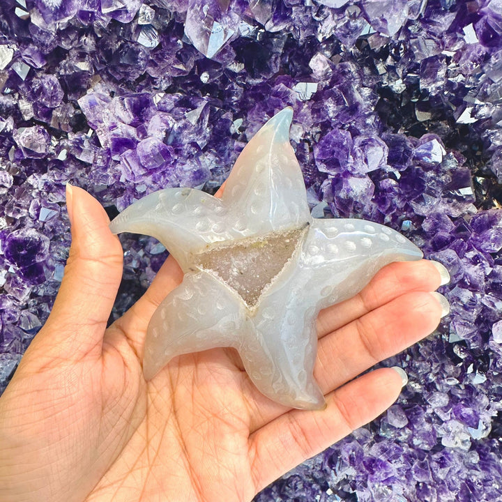 Agate Druzy Starfish Large | The Harmony Store Carving