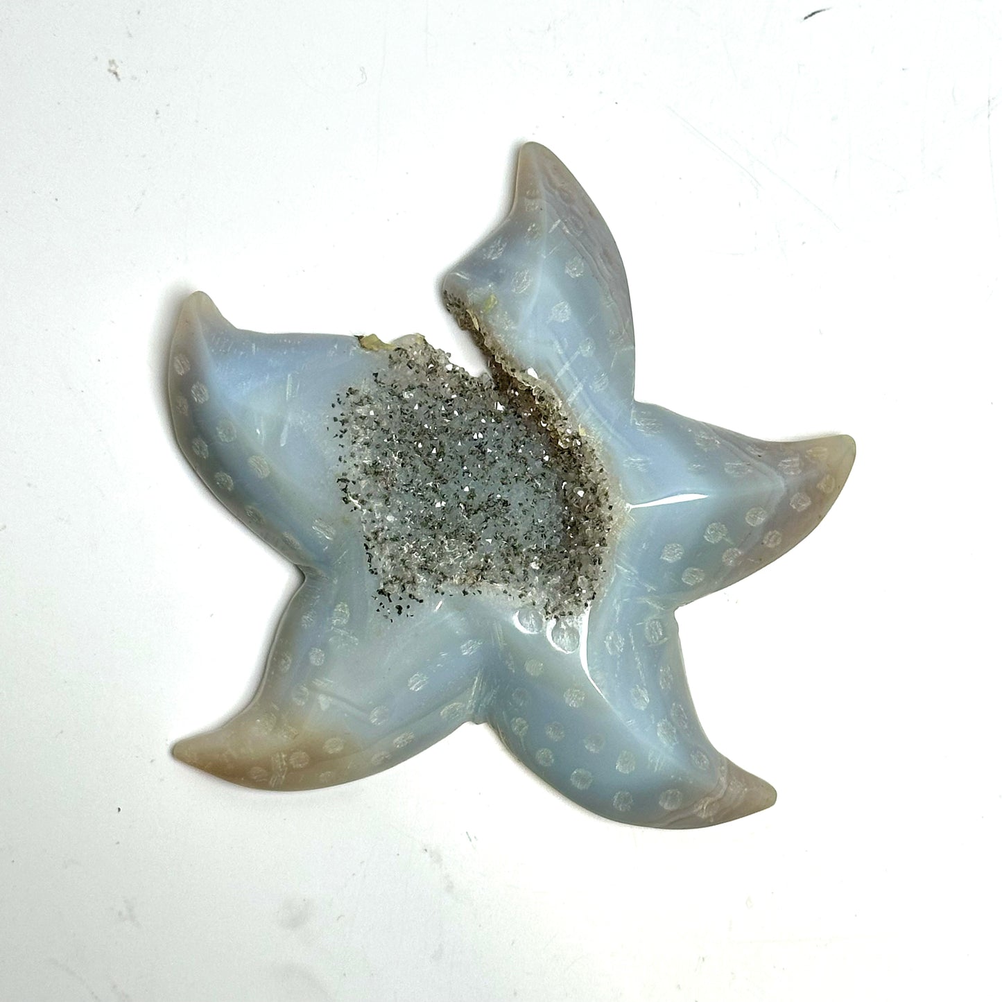 Agate Druzy Starfish : Large - The Harmony Store
