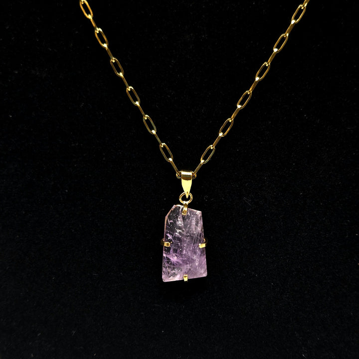 Amethyst Faceted Claw Pendant Pendant