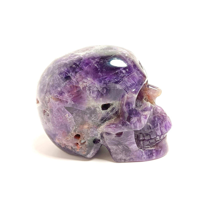 Amethyst Crystal Skull | The Harmony Store Skull
