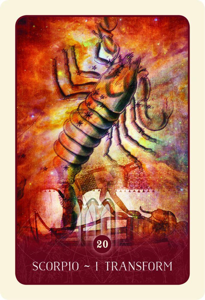 Black Moon Astrology Cards - The Harmony Store