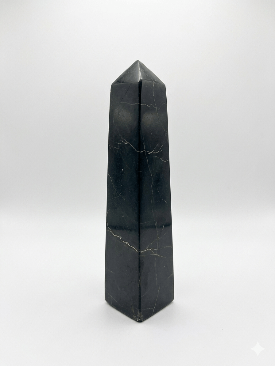 Black Tourmaline Shamatite Tower | The Harmony Store Tower