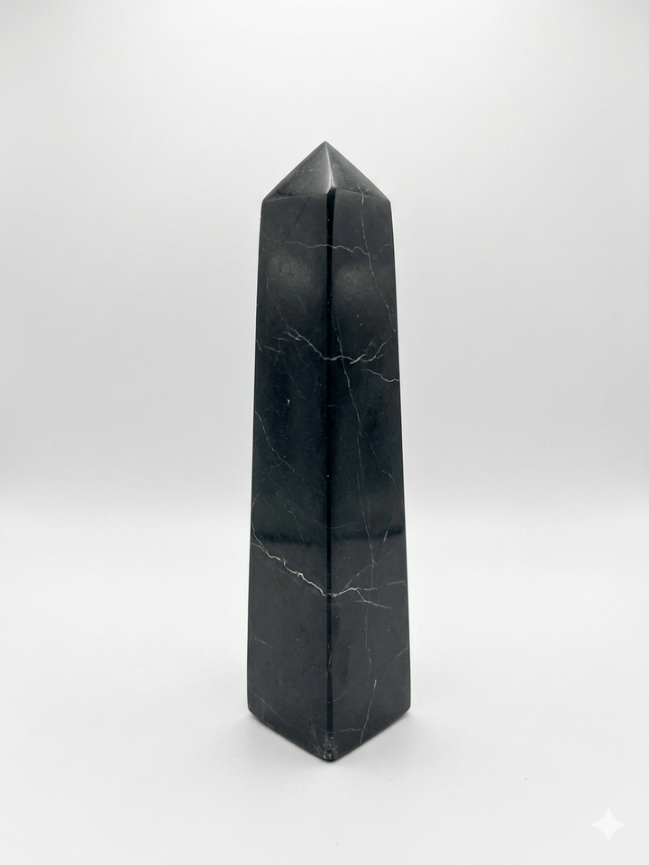Black Tourmaline Shamatite Tower | The Harmony Store Tower