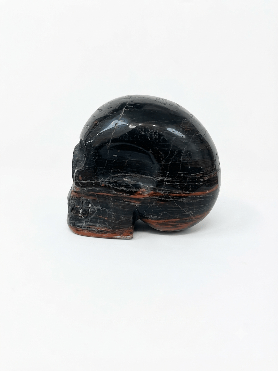 Black Tourmaline Crystal Skull | The Harmony Store Skull