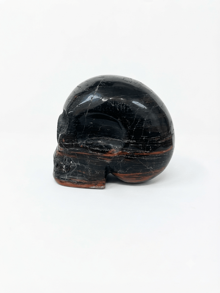 Black Tourmaline Crystal Skull | The Harmony Store Skull