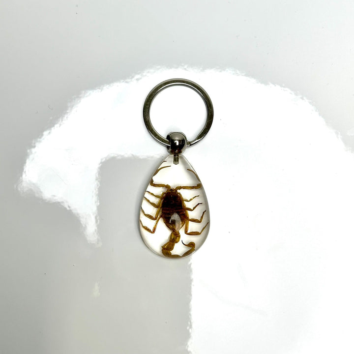 Bug Keychain | The Harmony Store Accessories