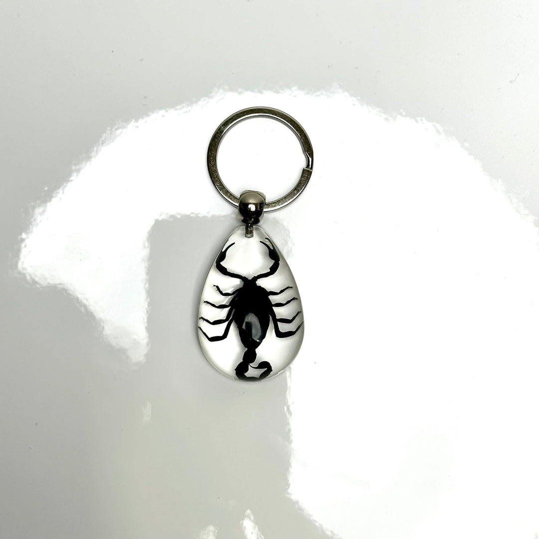 Bug Keychain | The Harmony Store Accessories