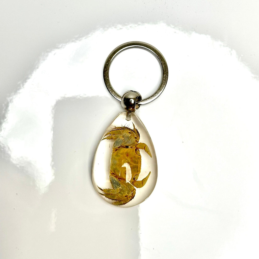 Bug Keychain | The Harmony Store Accessories