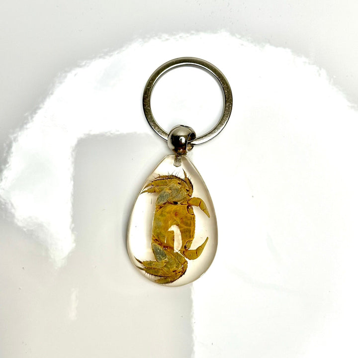 Bug Keychain | The Harmony Store Accessories