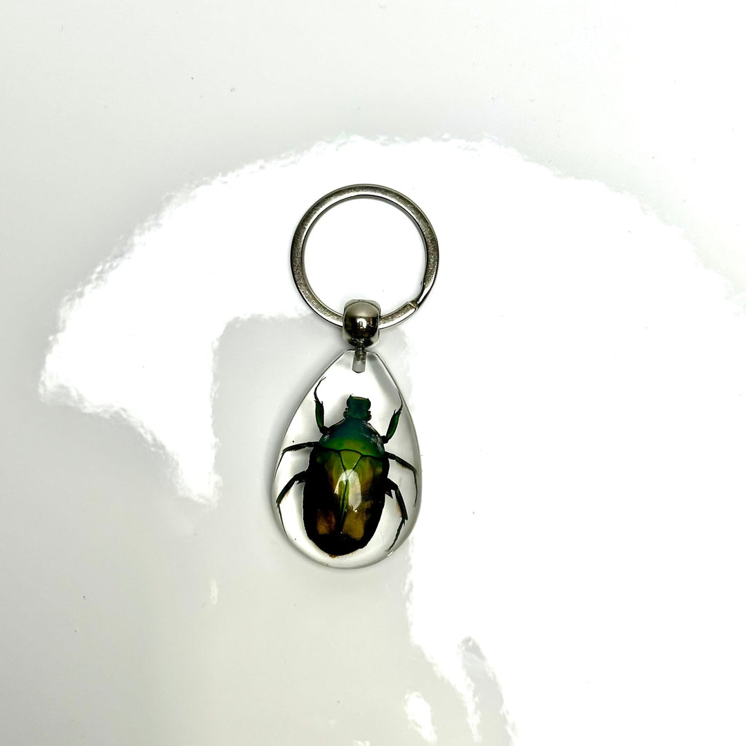 Bug Keychain | The Harmony Store Accessories
