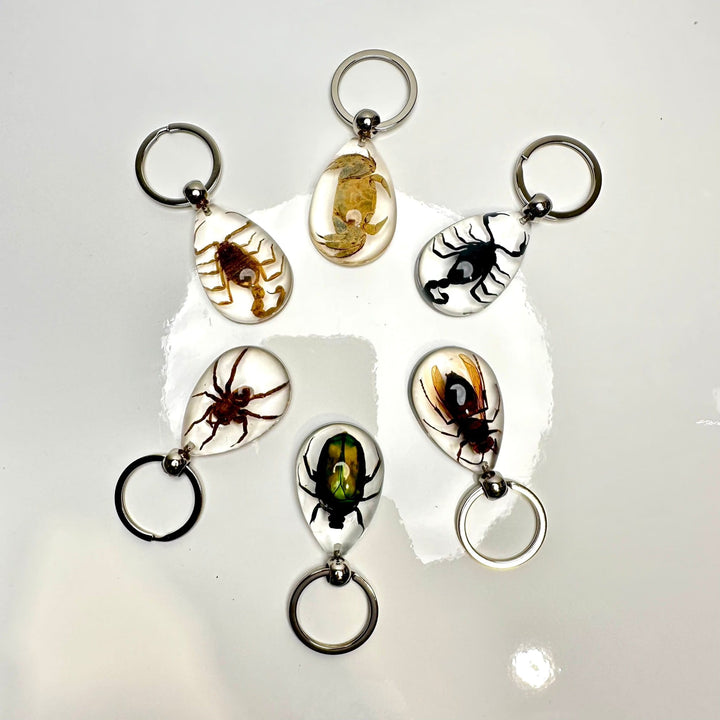 Bug Keychain | The Harmony Store Accessories