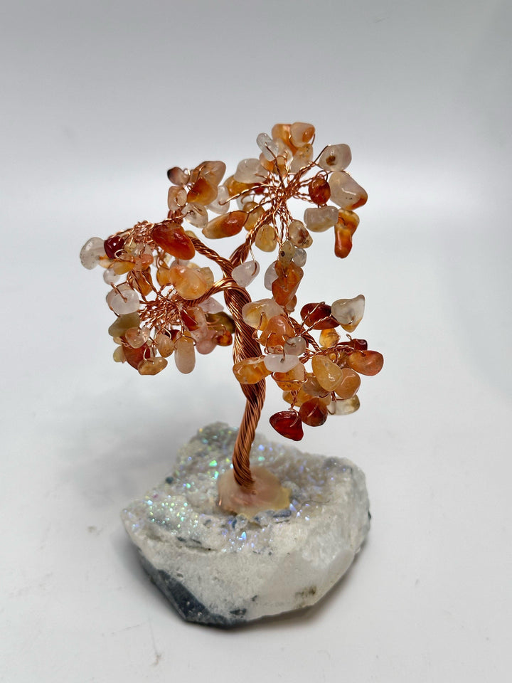 Carnelian Aura Bonsai Tree | The Harmony Store Home Decor