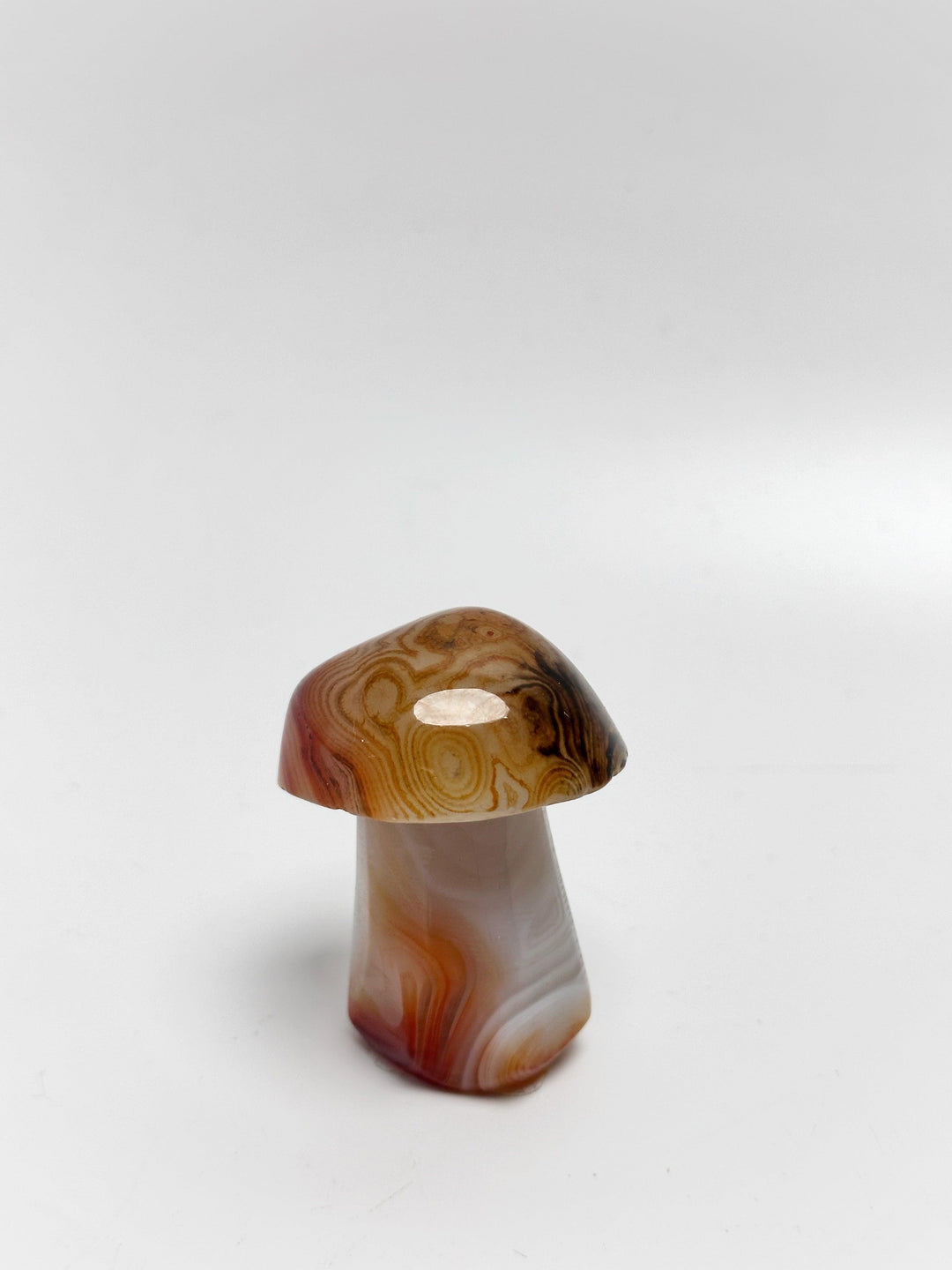 Carnelian Mushroom (2") | The Harmony Store Carving