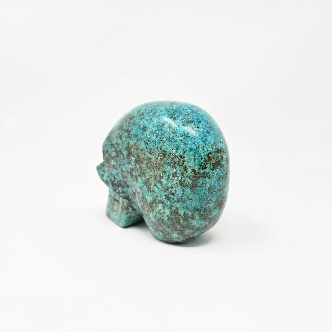 Chrysocolla Crystal Skull | The Harmony Store Skull