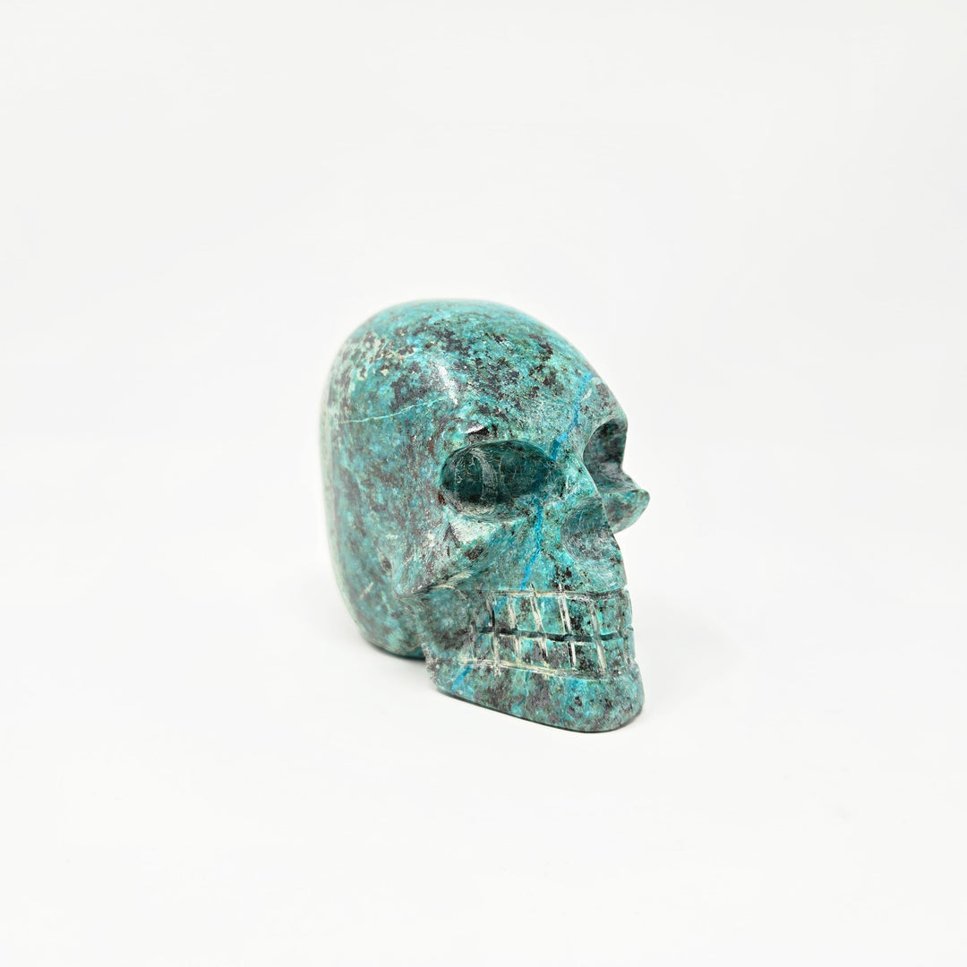 Chrysocolla Crystal Skull | The Harmony Store Skull