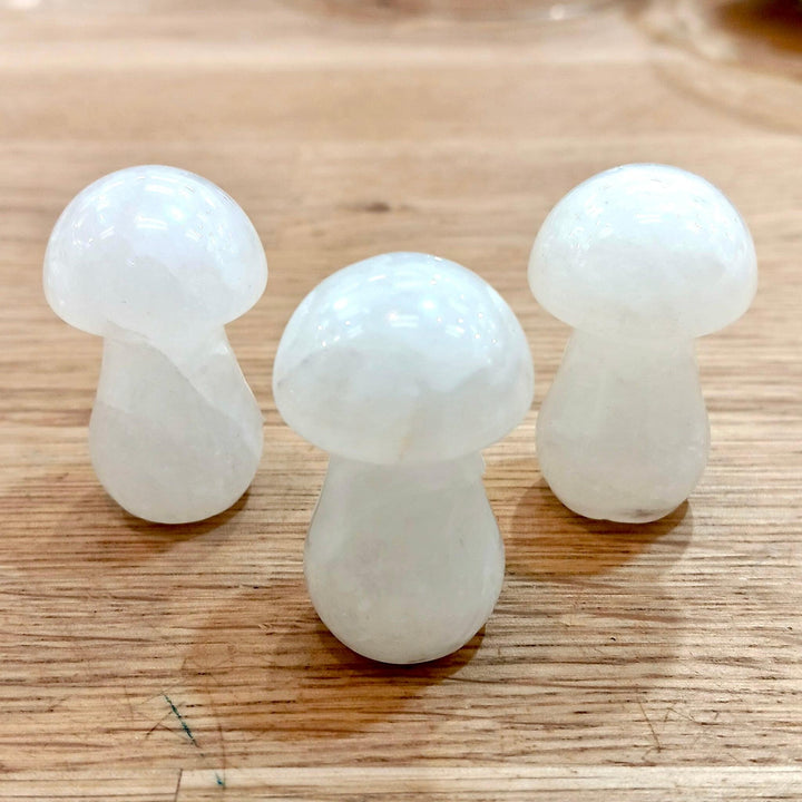 Clear Quartz Mushroom 1.5-Inch | The Harmony Store Mushroom