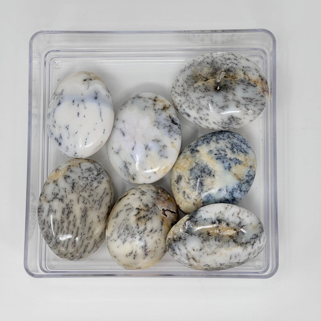 Dendritic Agate Palm Stone | The Harmony Store Palm Stone