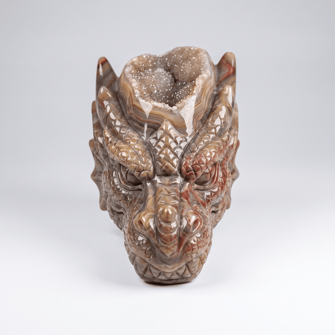 Druzy Agate Dragon Head Carving | The Harmony Store Carving